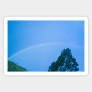 alb rainbow Sticker